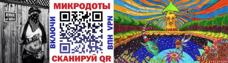 Псилоцибиновые грибы Psilocybine cubensis Кадников